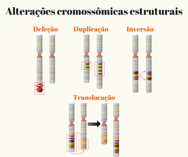 drops alteracoes cromossomicas