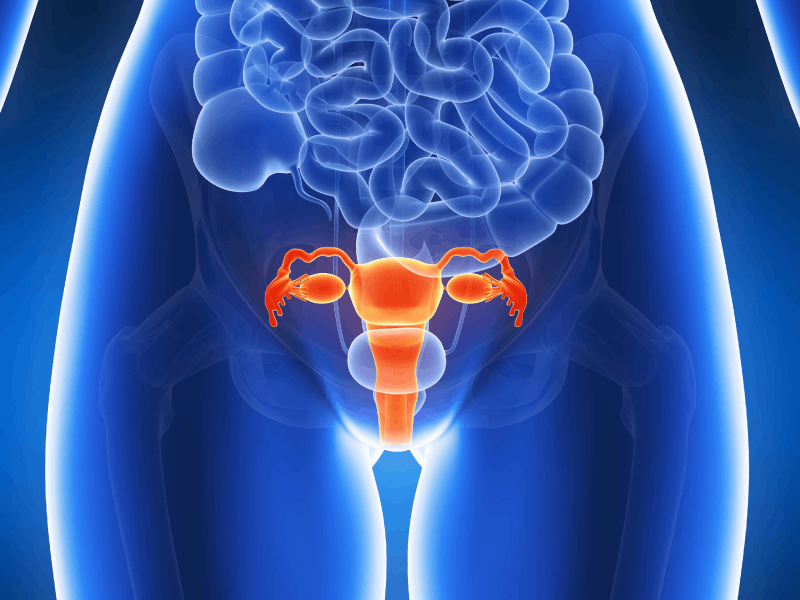 FDA aprova conjugado para o tratamento do câncer cervical metastático