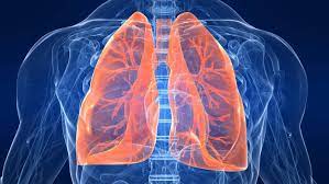 Segmentectomia como novo padrão de cuidados no câncer de pulmão inicial